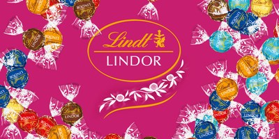 Referenzen Bilder Touch Quiz